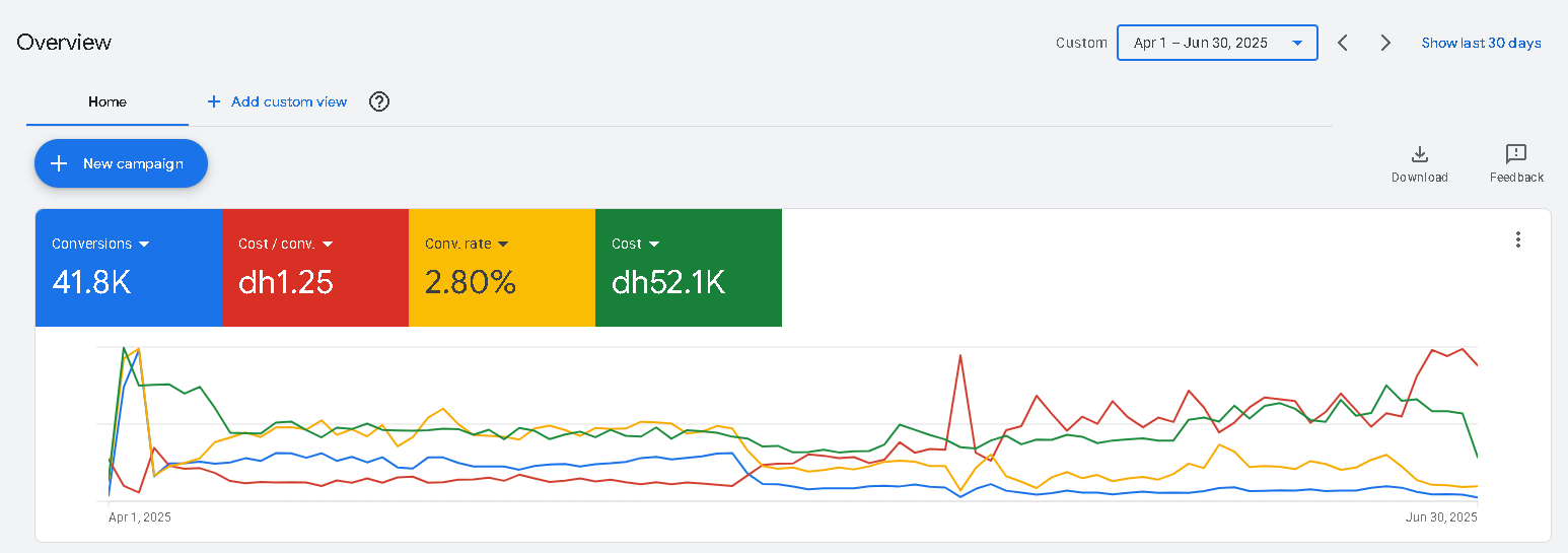 Full account-wide Google Ads overview for Q2 2025