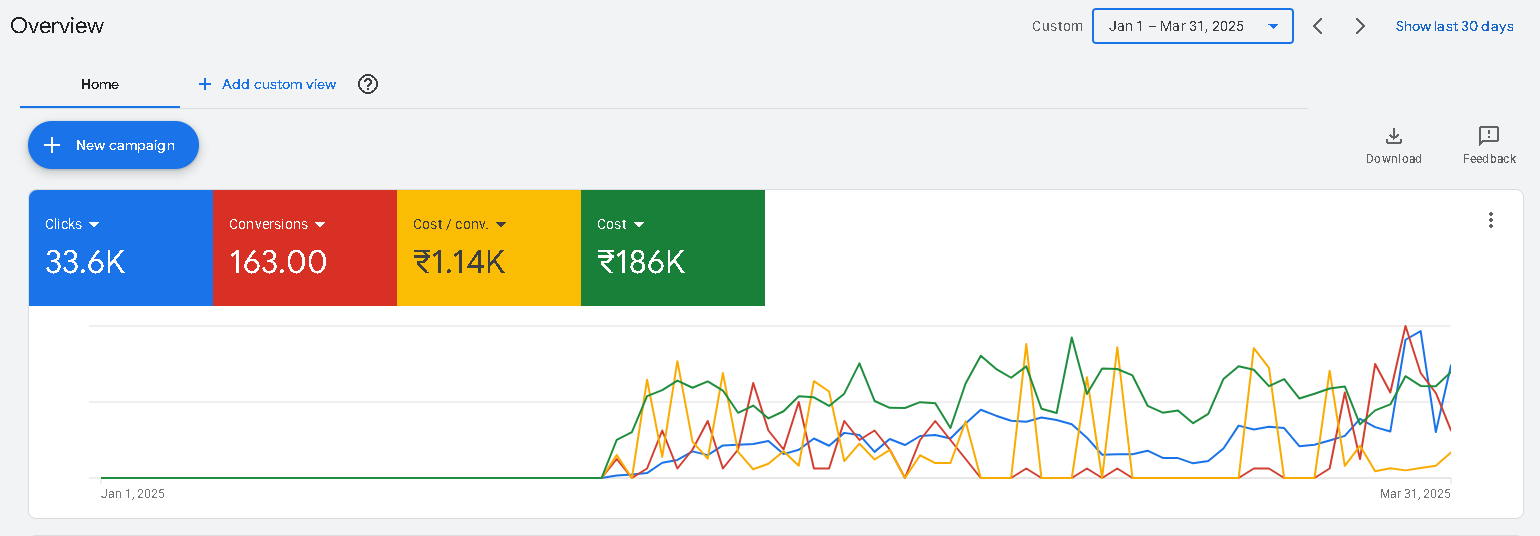Full Google Ads overview for Q1 2025 showing 163 platform actions at approximately INR 1,143.84 each